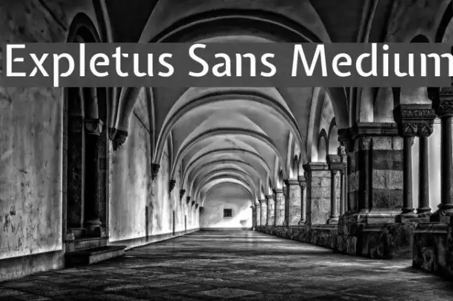 Expletus Sans Medium Example 3