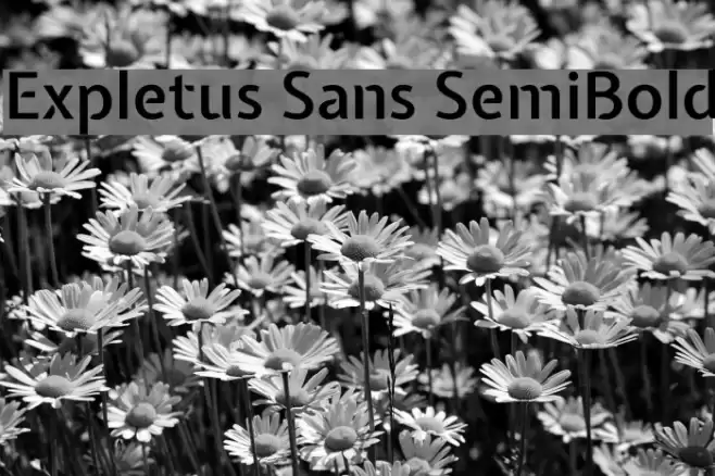 Expletus Sans SemiBold Font examples