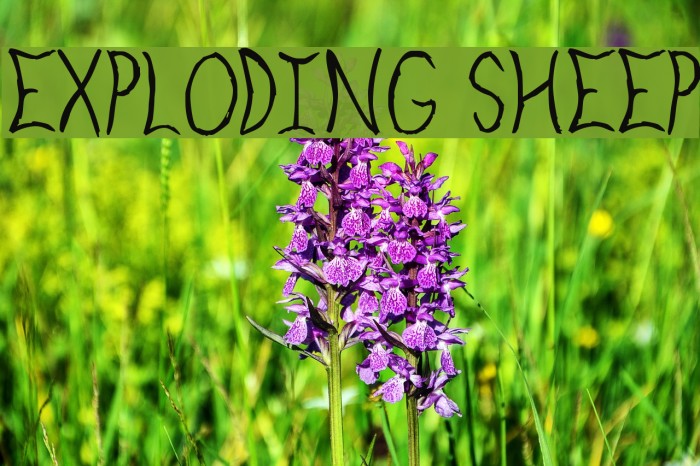 Exploding Sheep Font examples