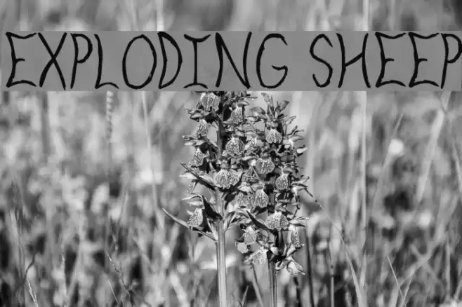 Exploding Sheep Font examples