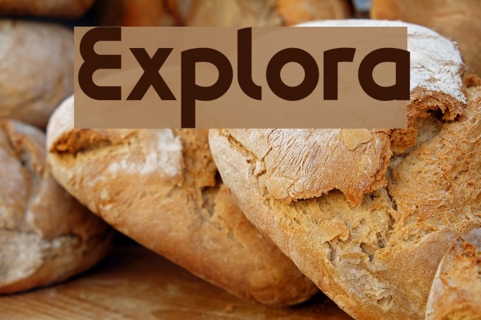 Explora Font examples