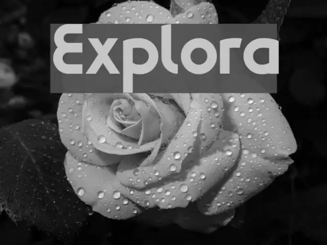 Explora Font examples