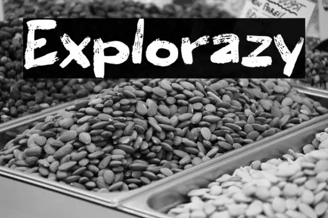 Explorazy Fonte examples