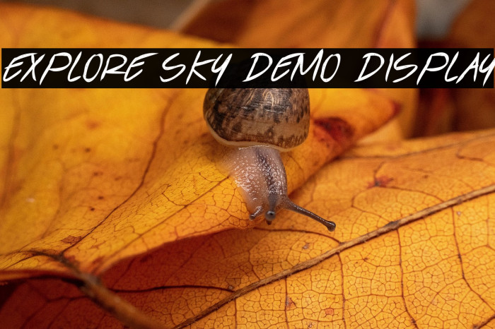 Explore Sky Demo Display Example 1