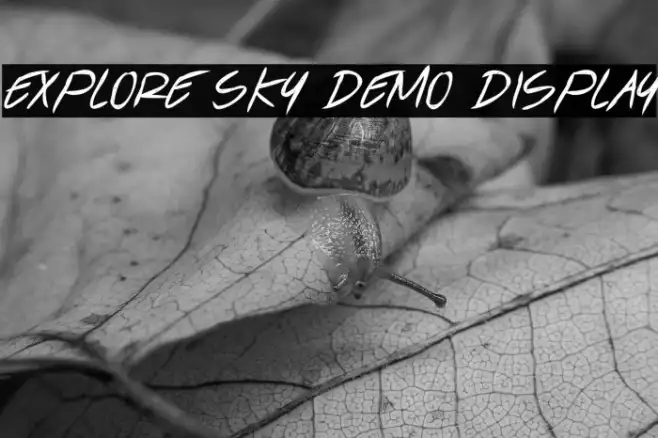 Explore Sky Demo Display Example 1