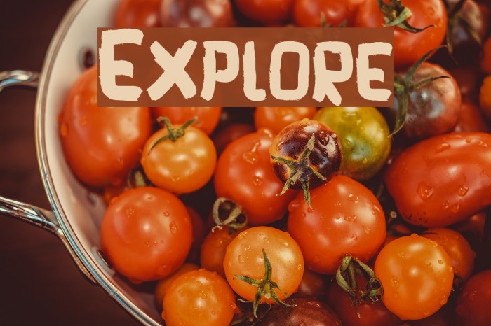 Explore Font examples