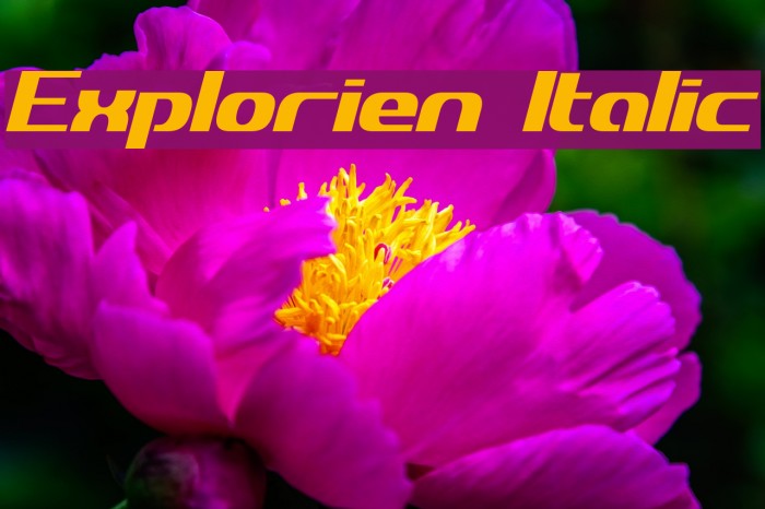 Explorien Italic Example 3