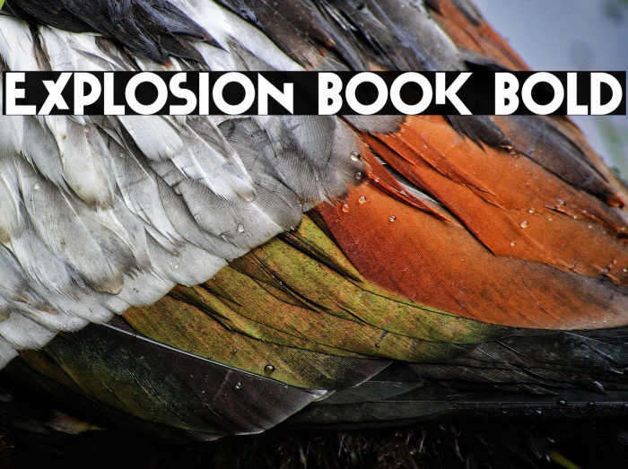 Explosion Book Bold Example 2
