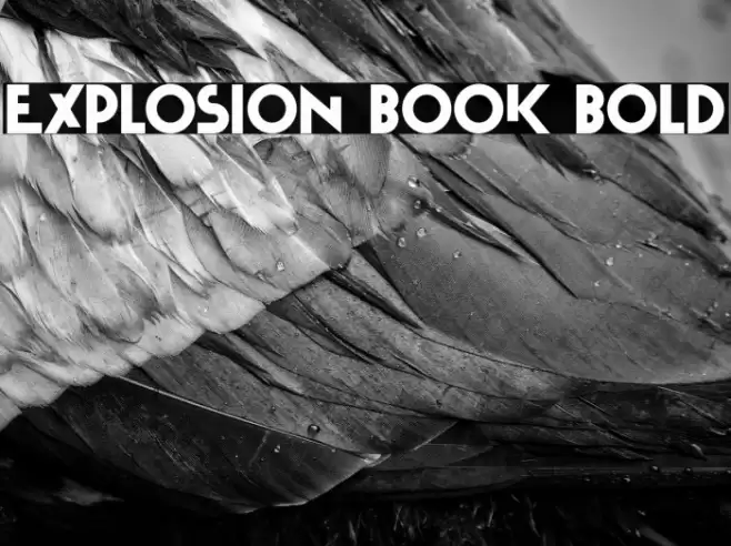 Explosion Book Bold Font examples