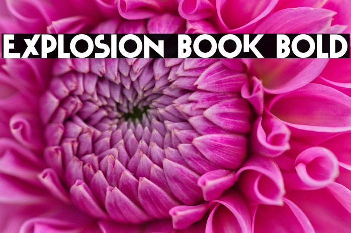Explosion Book Bold Example 3