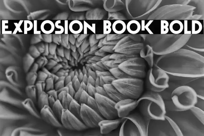 Explosion Book Bold Font examples