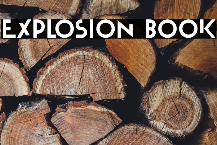 Explosion Book Example 2