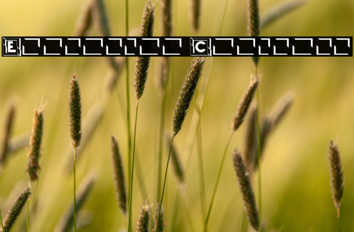 Explosion Capitals Example 3