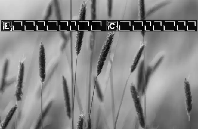 Explosion Capitals Fuentes examples