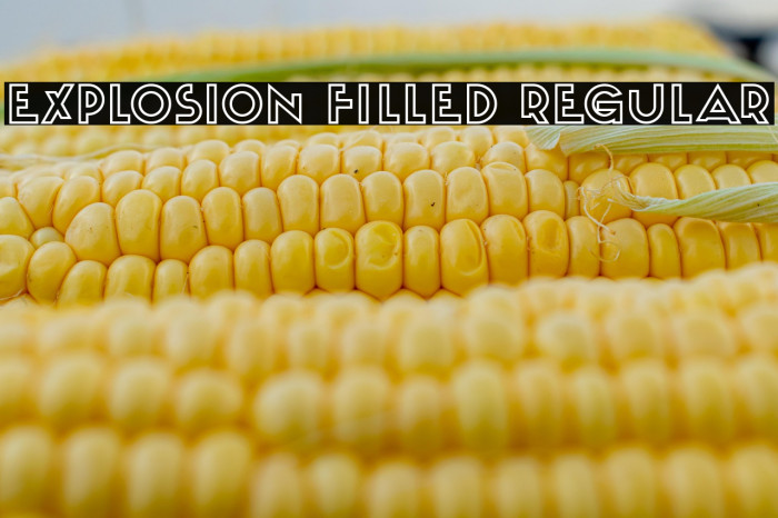 Explosion Filled Regular Example 2