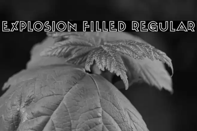 Explosion Filled Regular Example 3