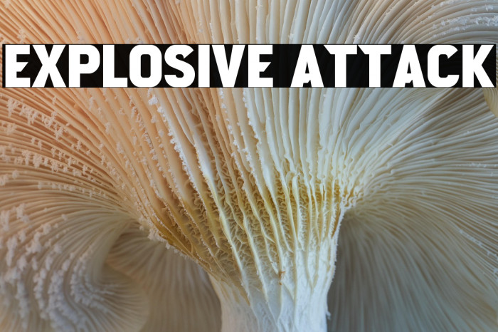 Explosive Attack Example 1