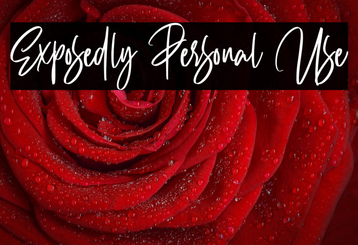 Exposedly Personal Use Example 3