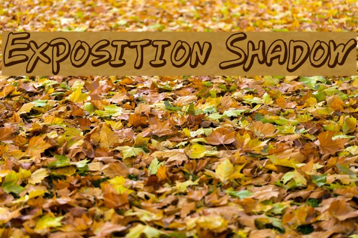 Exposition Shadow Font examples