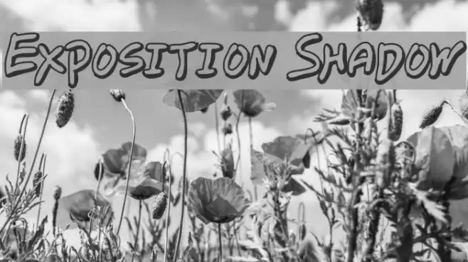 Exposition Shadow Font examples
