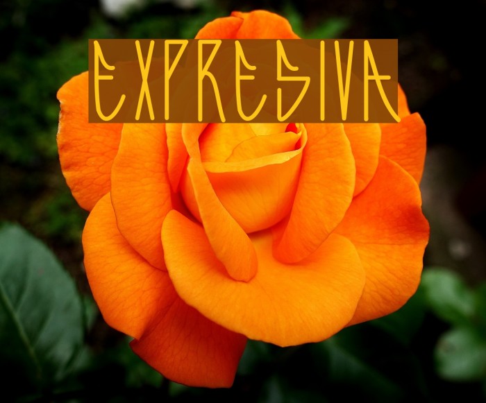 Expresiva Font examples
