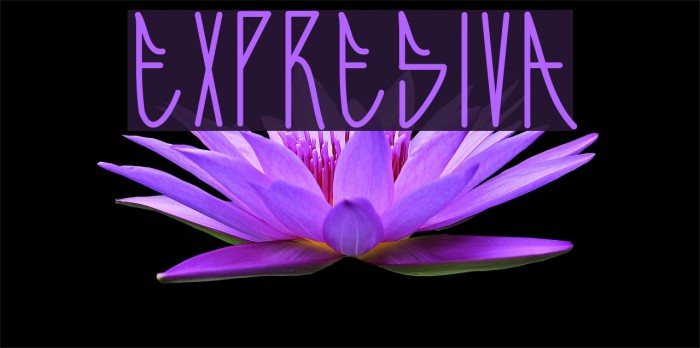 Expresiva Example 2