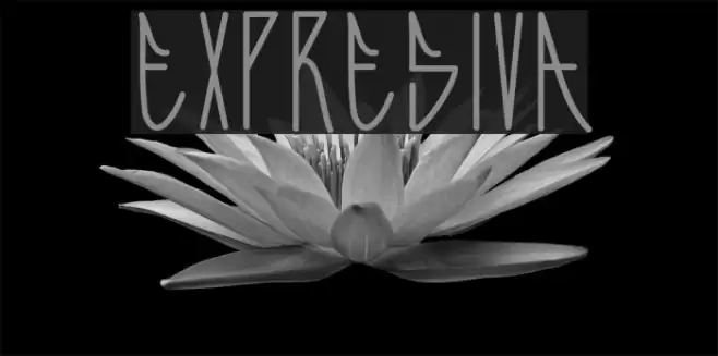 Expresiva Font examples