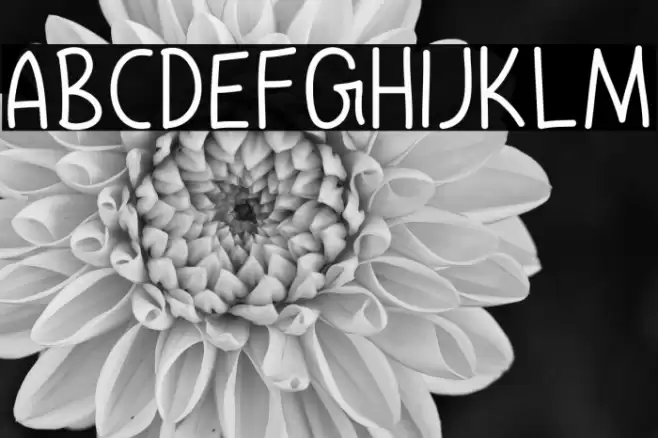 Express Christmas Font examples