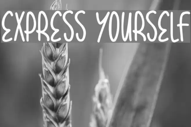 Express Yourself Font examples