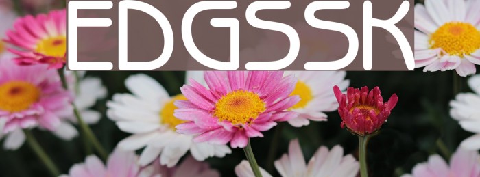 ExpressDecoGothicSSK Font examples