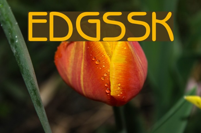 ExpressDecoGothicSSK Font examples