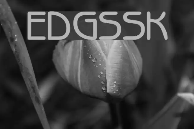 ExpressDecoGothicSSK 字体 examples