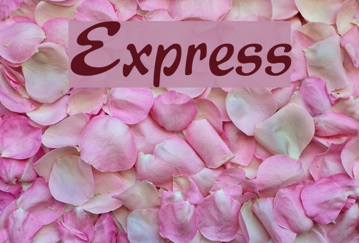 Express Font examples