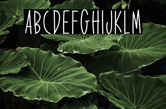 Expression Exchange Example 1