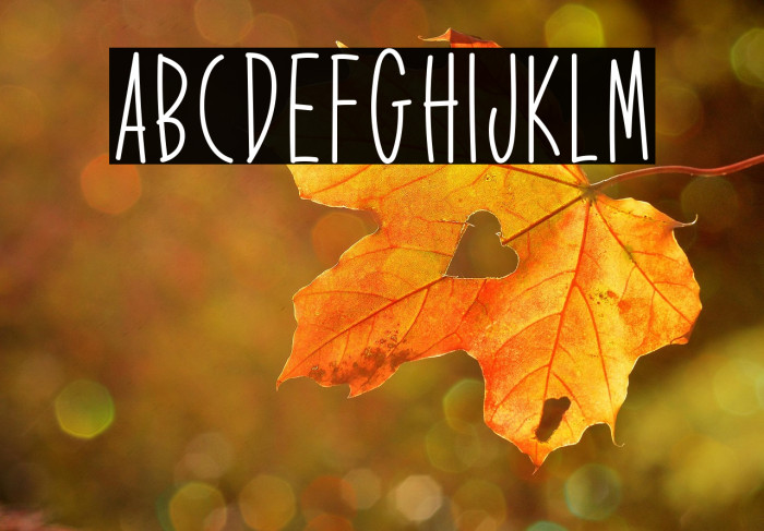 Expression Exchange Example 3