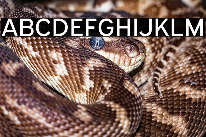 ExpresswayRg-Regular Example 1