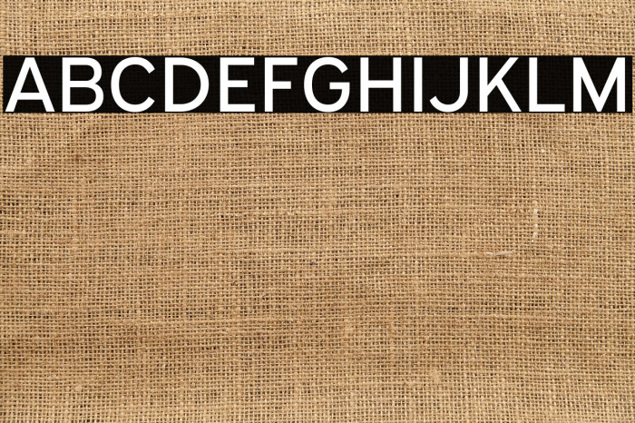 ExpresswayRg-Regular Example 2