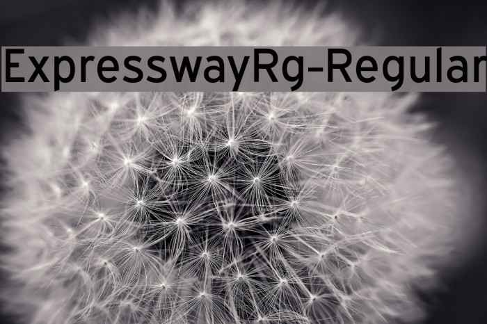 ExpresswayRg-Regular Font examples