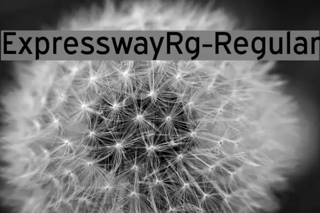 ExpresswayRg-Regular Example 2