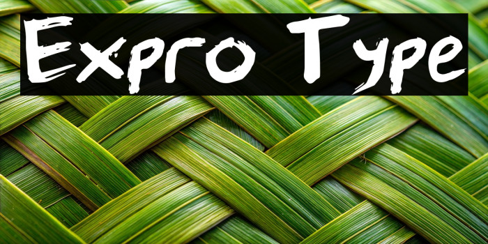 Expro Type Example 2