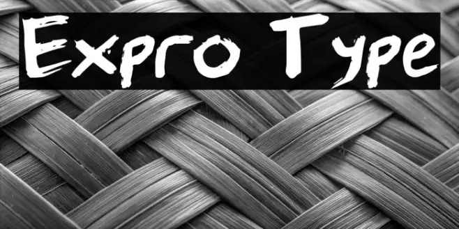 Expro Type Example 2
