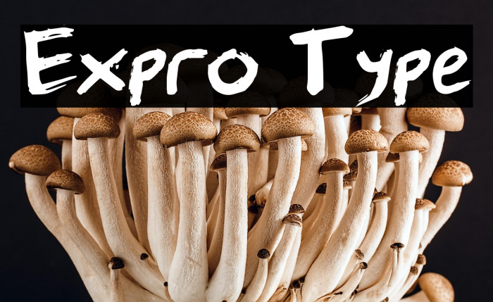 Expro Type Example 3