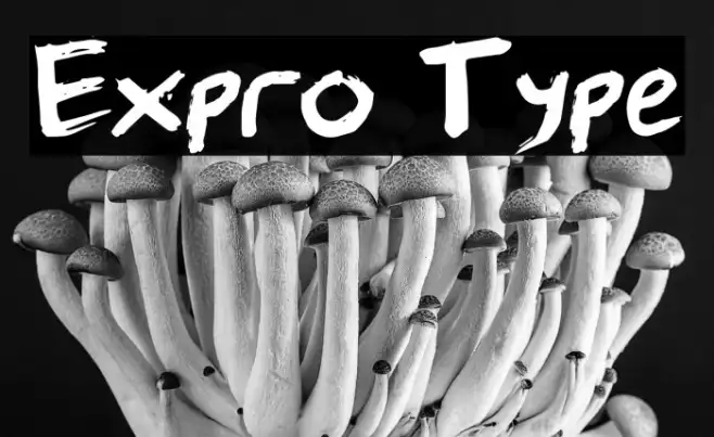 Expro Type Example 3