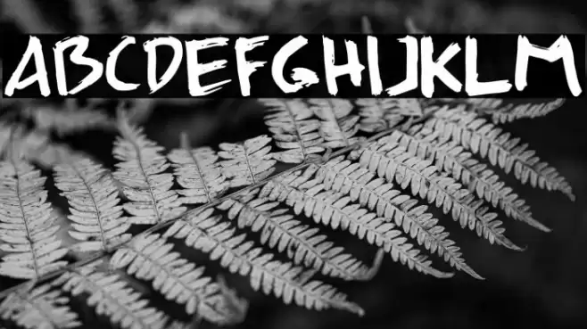 ExproType Font examples