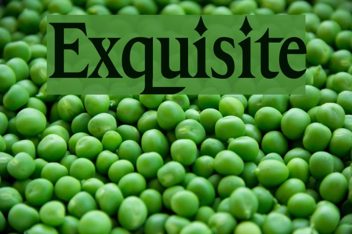 Exquisite Font examples