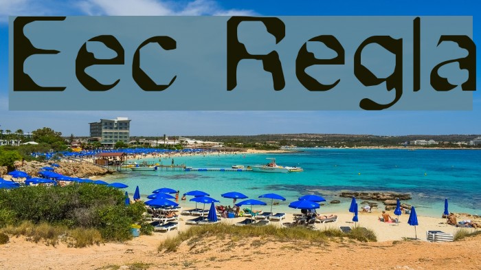 Exsect Regular Font examples