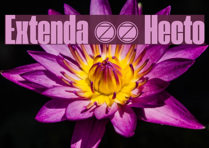 Extenda 40 Hecto Font examples