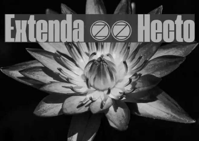 Extenda 40 Hecto Example 1