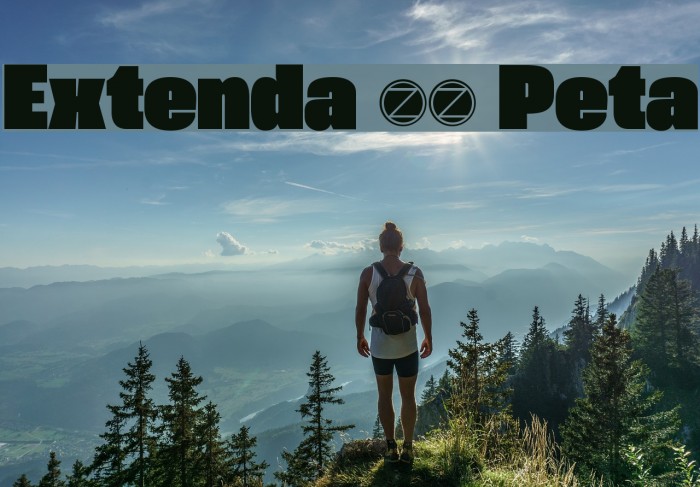 Extenda 70 Peta Example 1