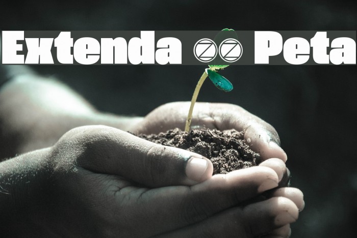 Extenda 70 Peta Example 3